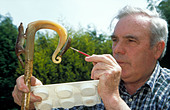 John <b>Hugh Williams</b> making the traditional Shepherds Crook he also makes <b>...</b> - AMX3F7