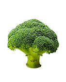 broccoli-on-white-ba6bme.jpg
