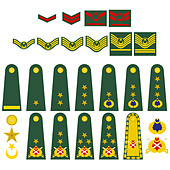 Epaulets, military ranks and insignia. Illustration on white Stock ...